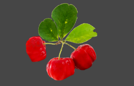 Acerola Logo