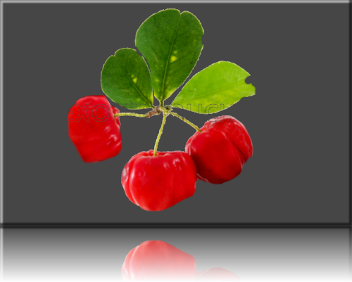Acerola Acerola