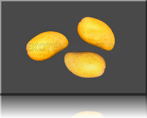 Babymango Mini Mango