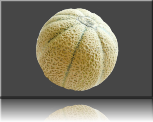 Canatlupemelone Canatlupe