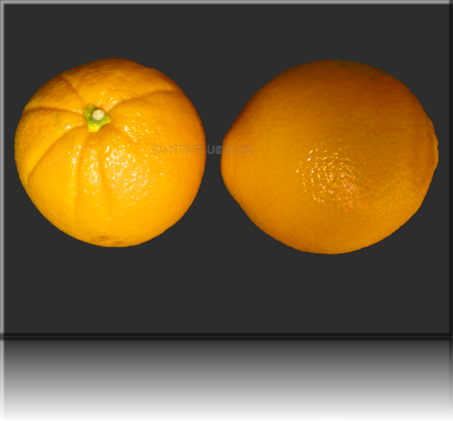 Cara Cara Orangen Cara Cara Orangen