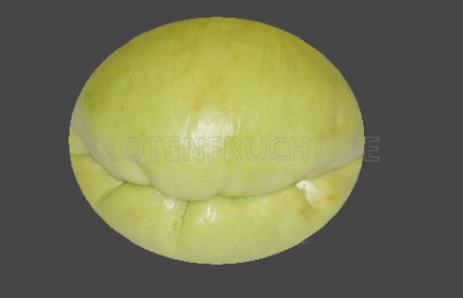 Chayote