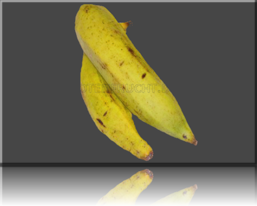 Gemüsebanane Kochbanane