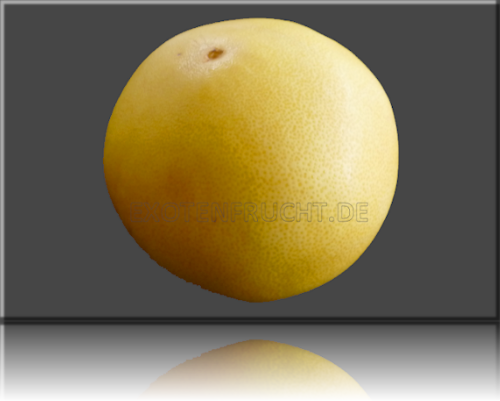 Honigpomelo Honigpomelo