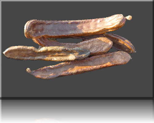Johannisbrot Johannisbrot