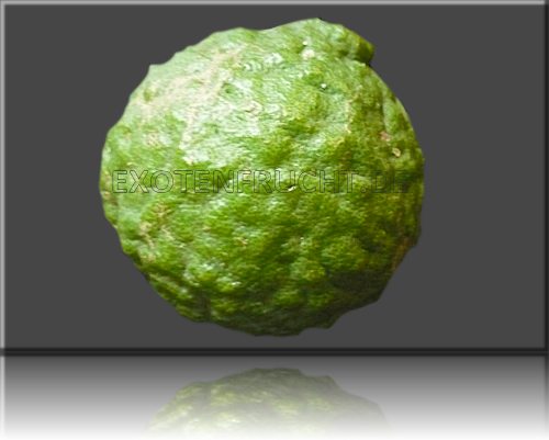 Kaffirlimette Kaffirlimette
