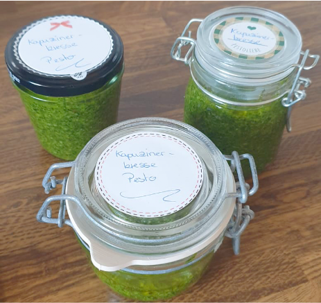 Kapuzinerkressepesto