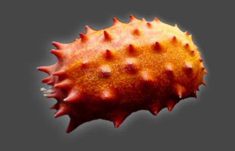 Kiwano