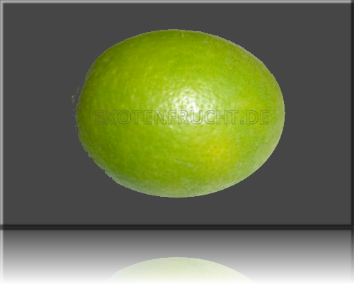 Limquat Limquat