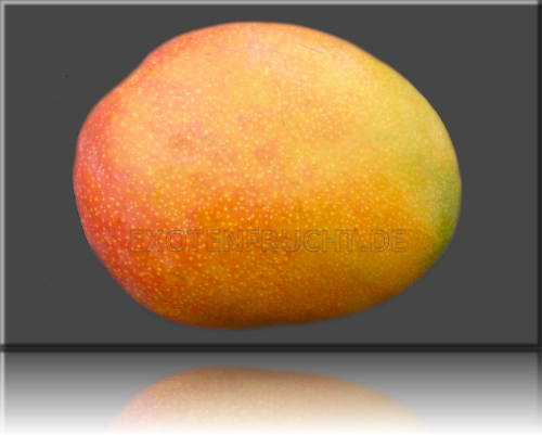 Mango Mangofrucht