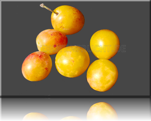 Mirabelle Mirabelle