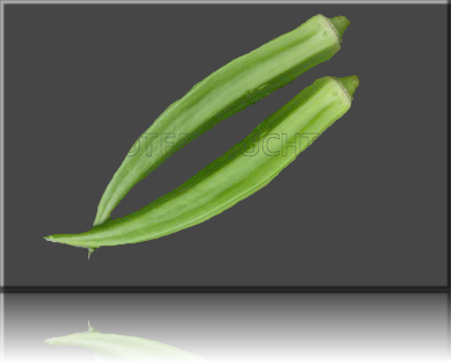 Okra