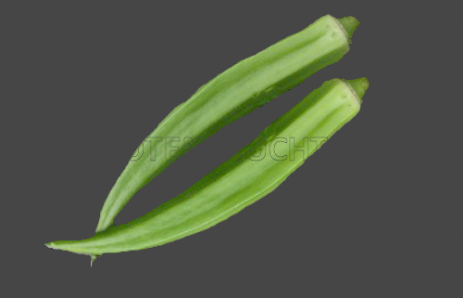 Okra