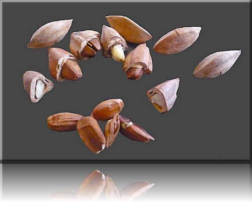 Pilinuesse Pili