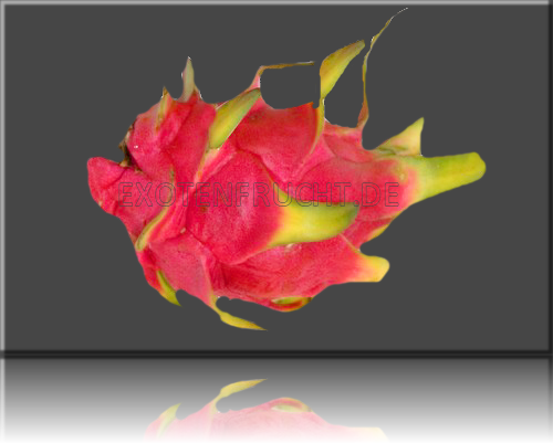 Pitahaya rot Drachenfrucht
