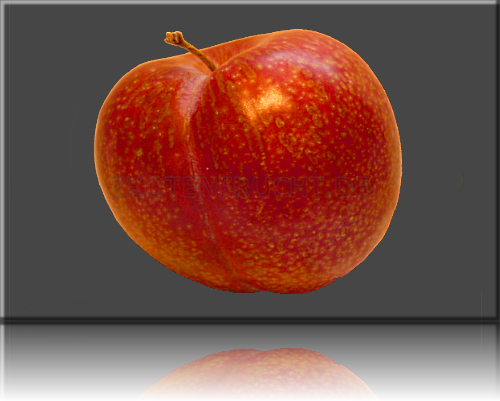 Pluot Pluot