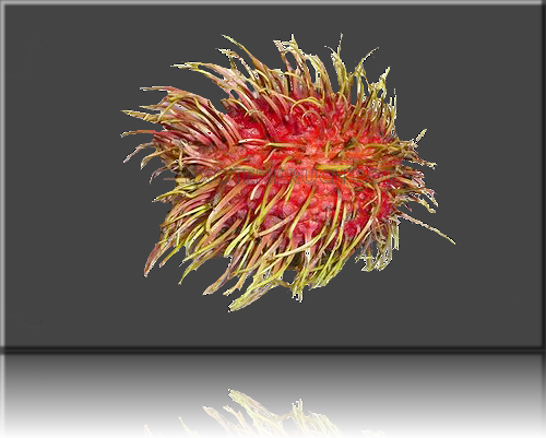 Rambutan