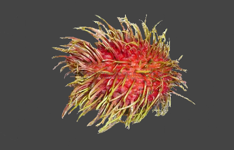 Rambutan