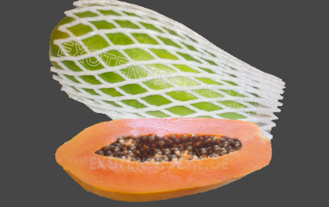 Riesenpapaya