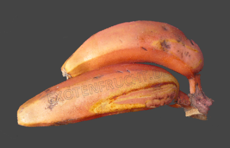 Rote Banane