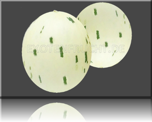Snowballmelone Schneeballmelone