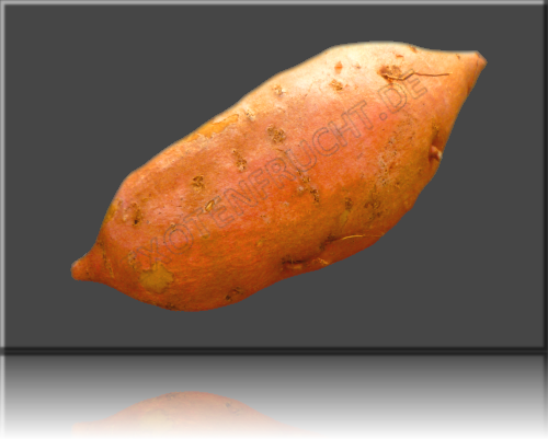 Süßkartoffel Sweet Poteto