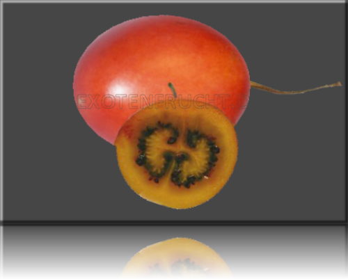 Tamarillo Baumtomate