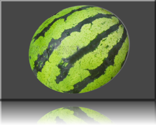 Wasser Melone