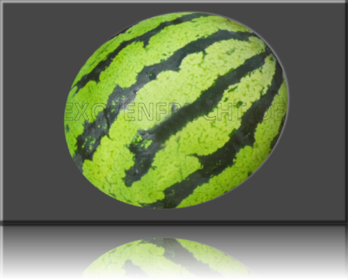 Wassermelone Wasser Melone