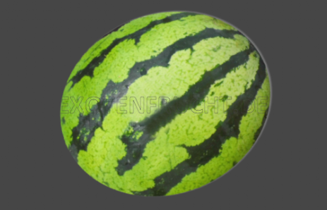 Wassermelonenlogo