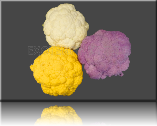 Mini Blumenkohl Mini Gemüse
