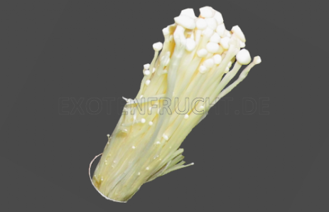 Enoki