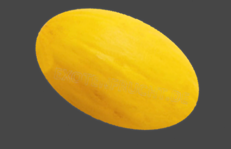 Logo Honig Melone